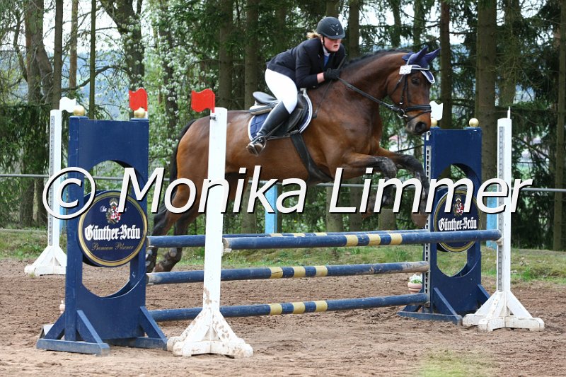 204M9069_Vidi_Stil Ax.JPG